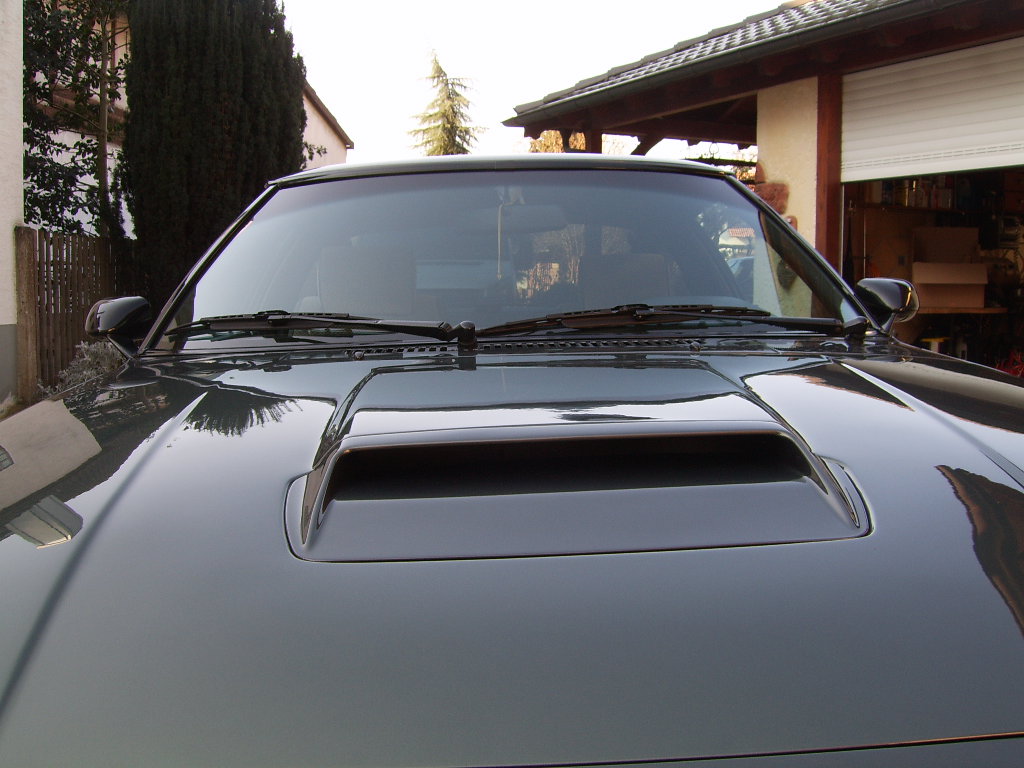 SV100656.JPG