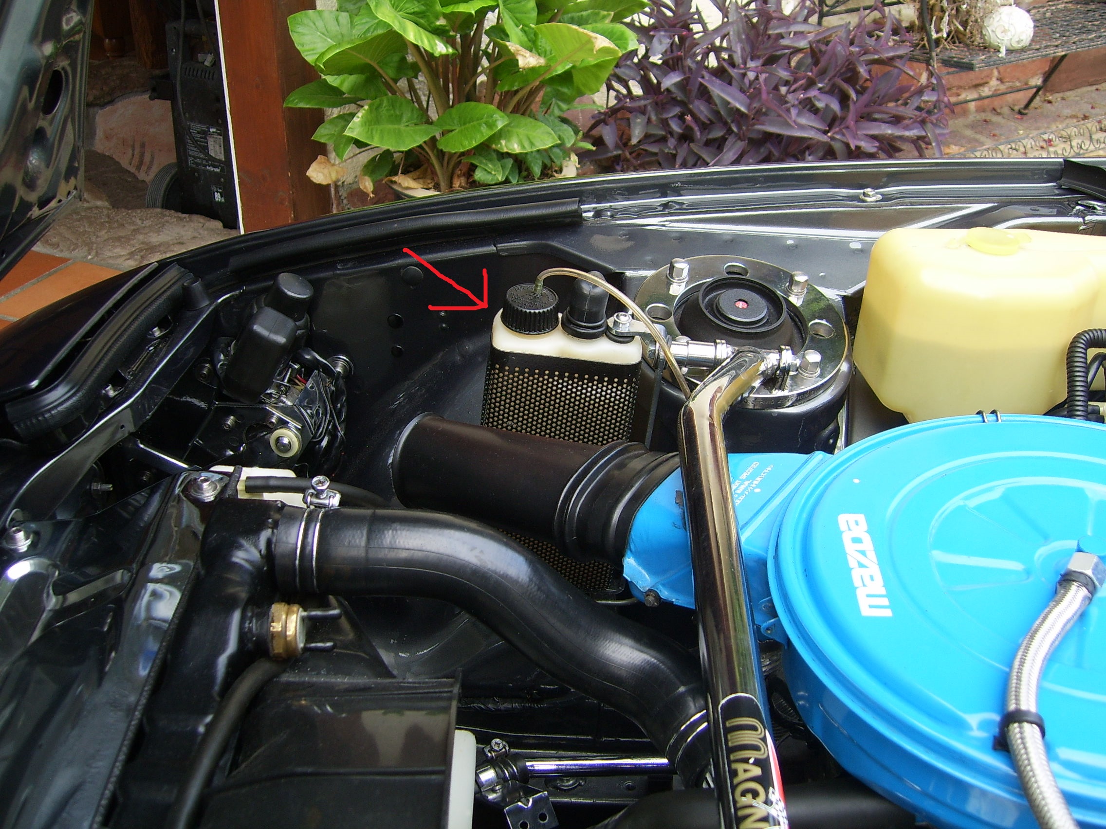 SV100961.JPG