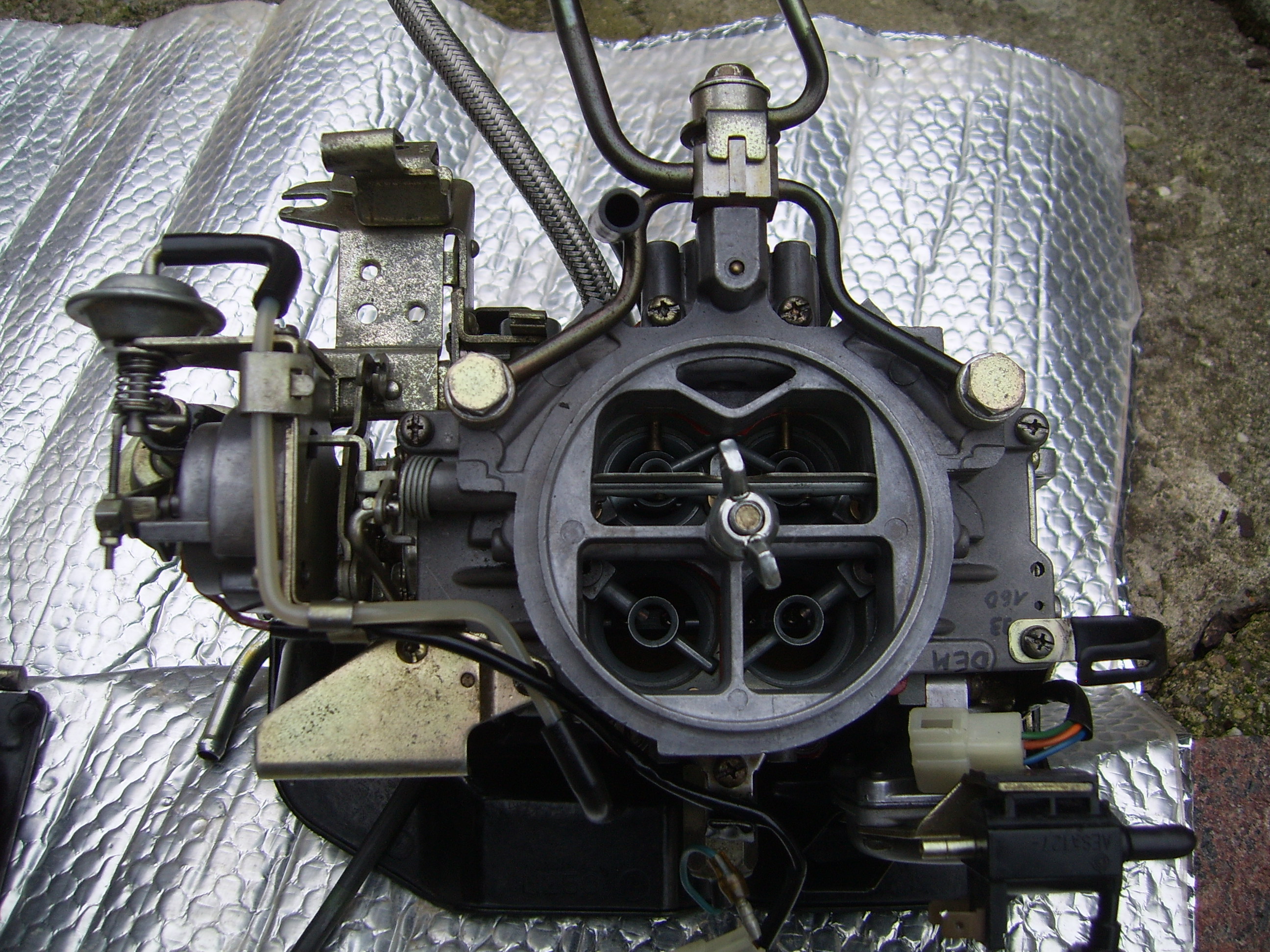 SV101804.JPG