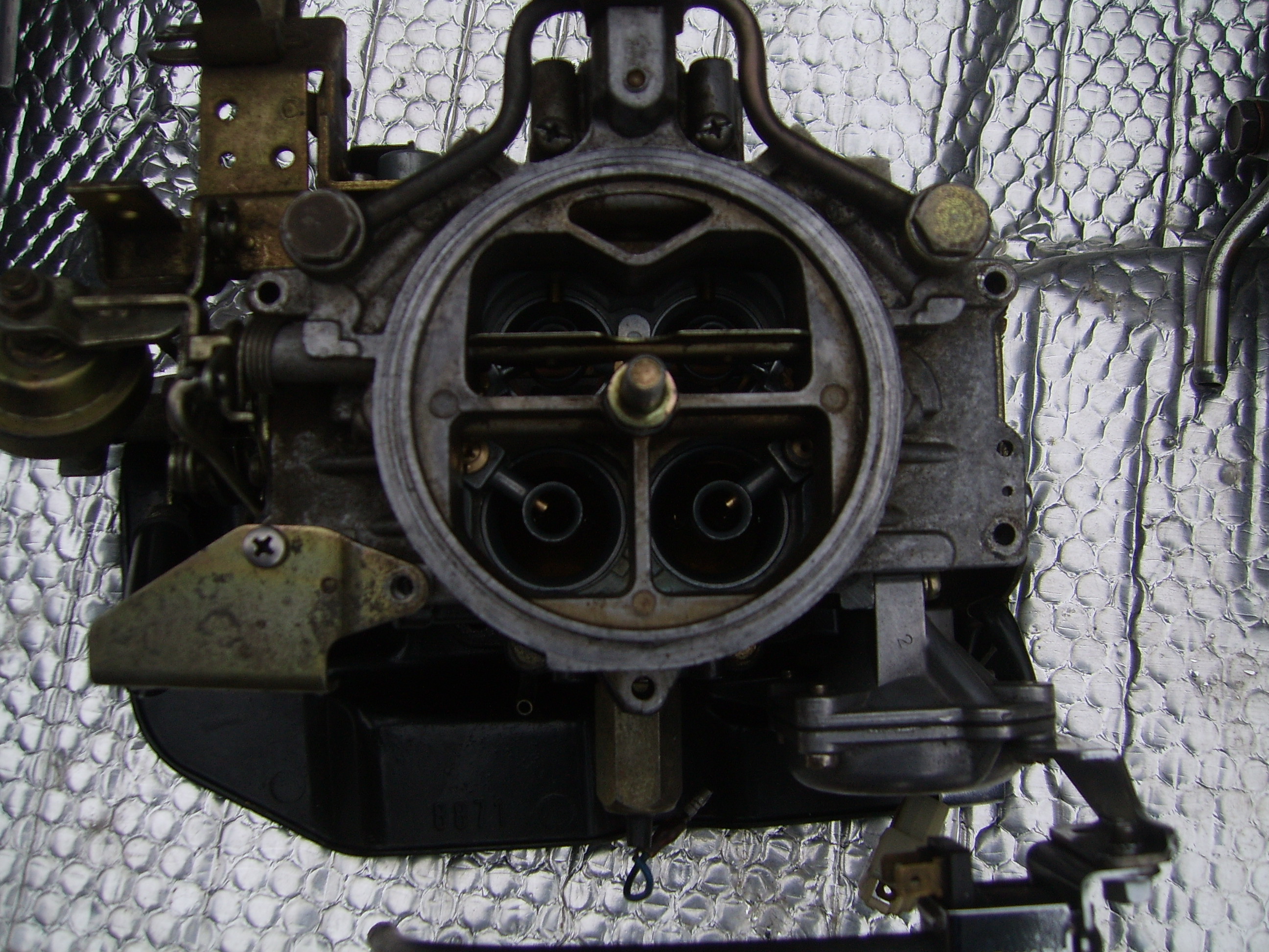 SV101805.JPG