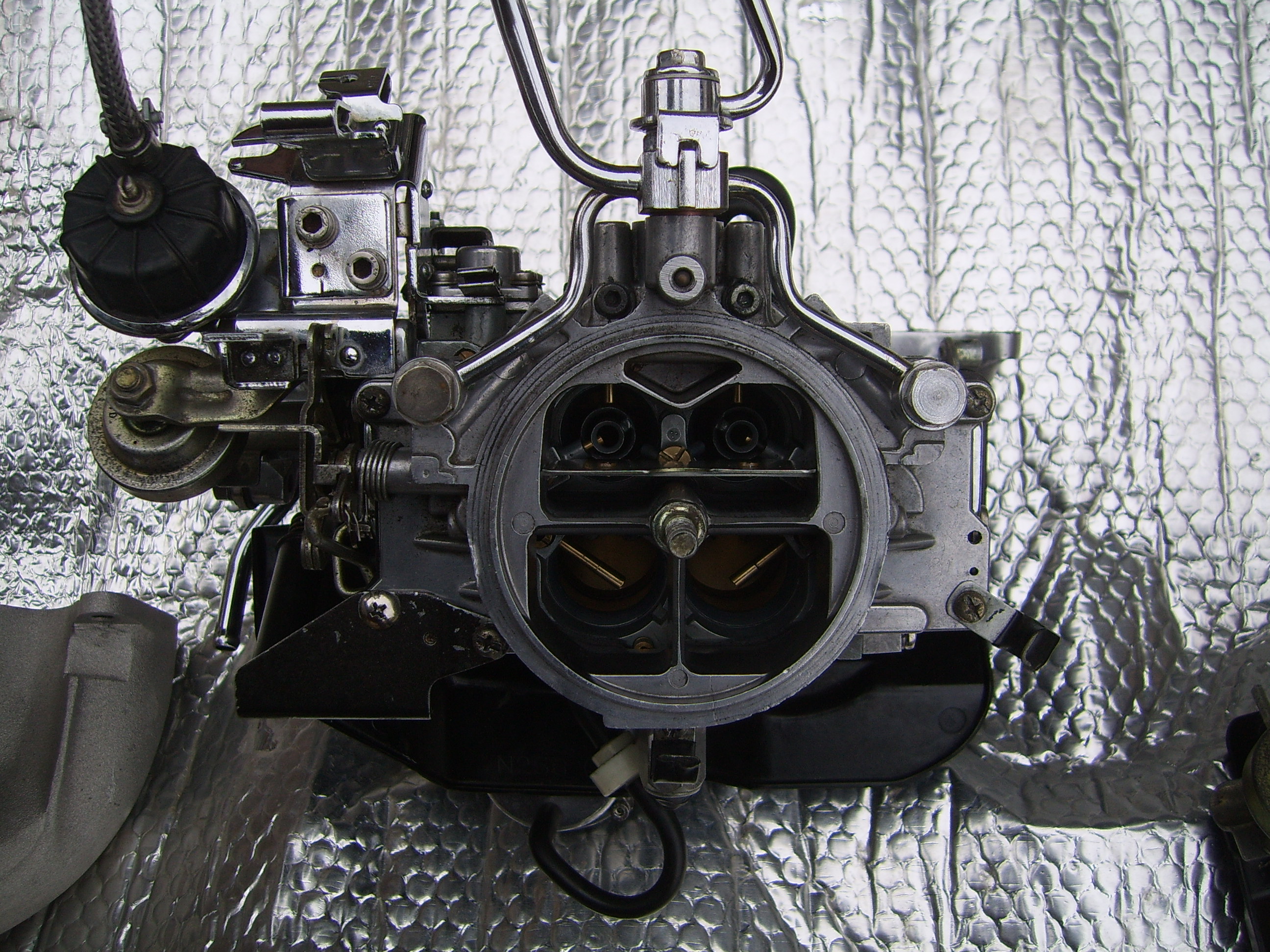 SV101806.JPG