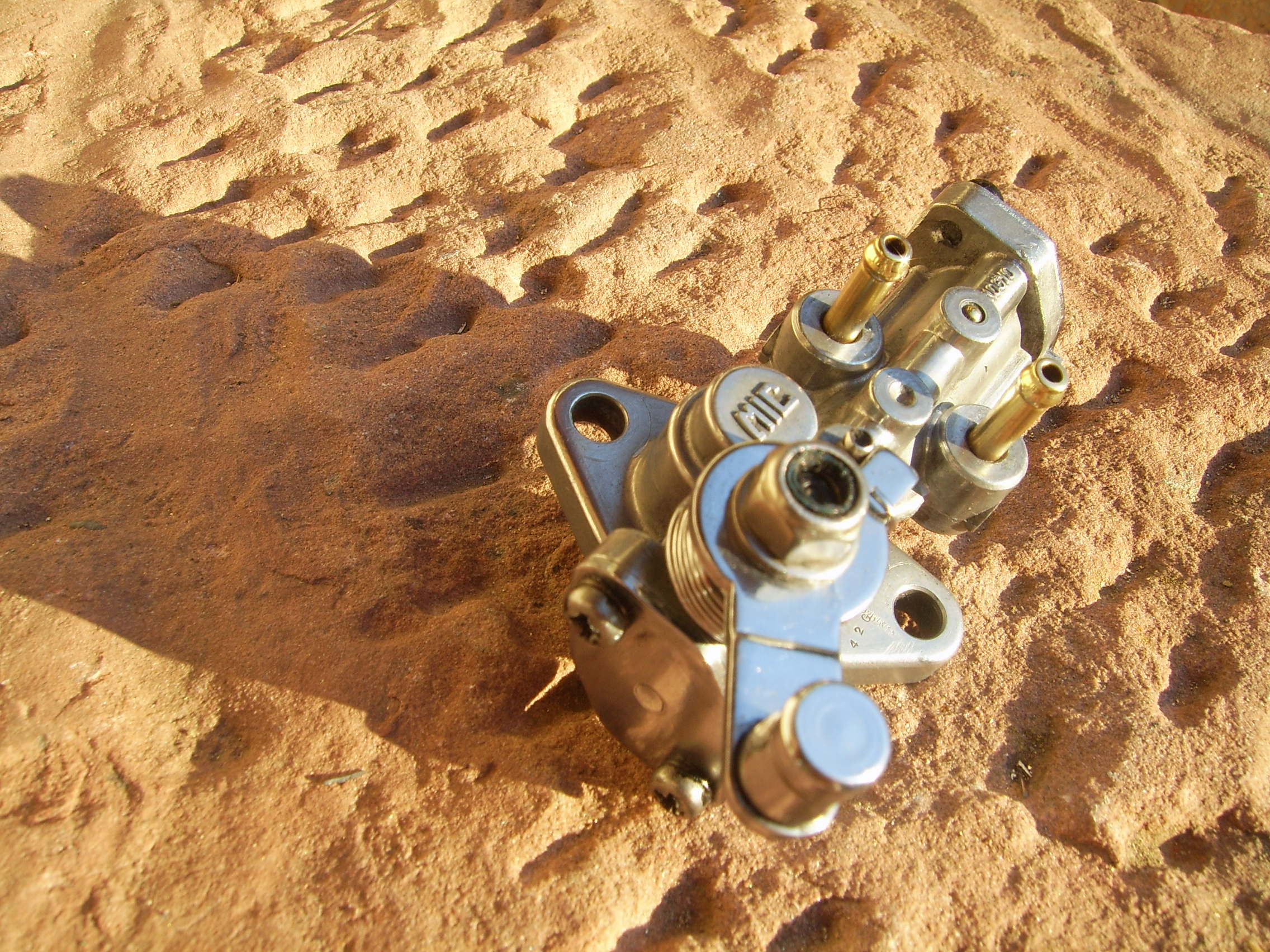 SV101609.jpg