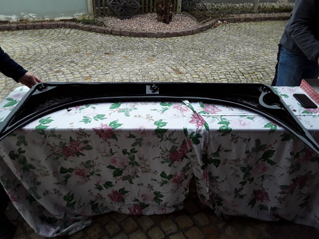 20190309_110757.jpg
