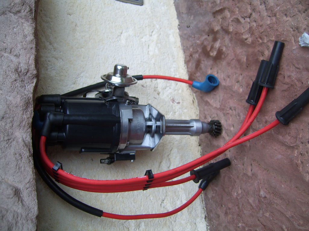 SV100206.JPG