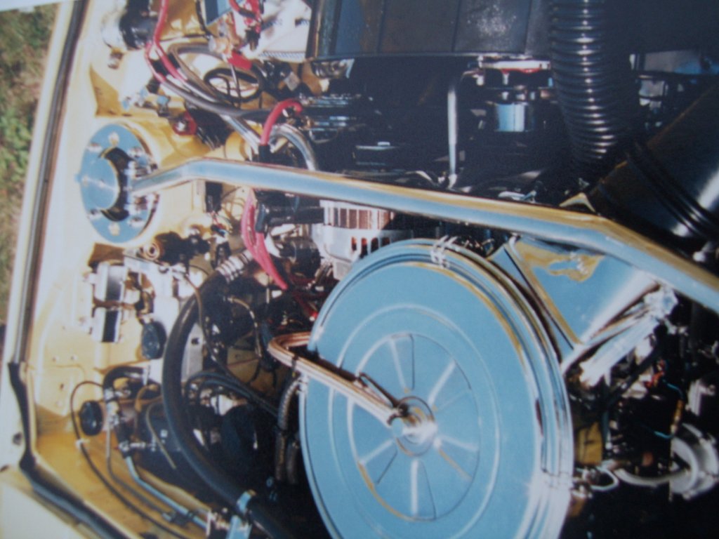 SV100751.JPG