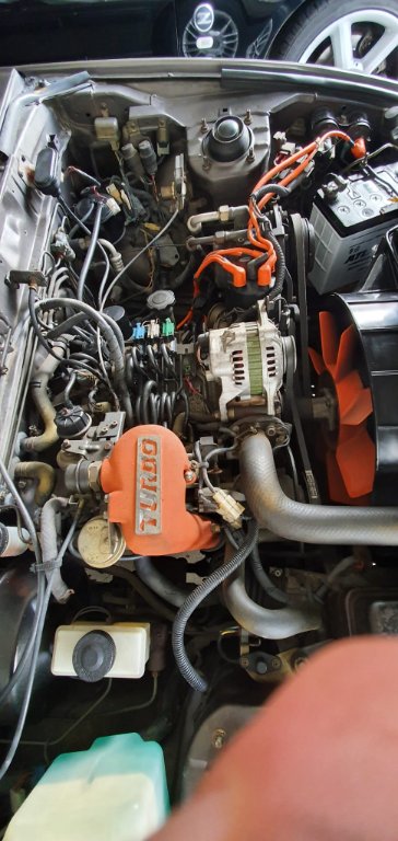 WhatsApp Image 2021-08-18 at 07.54.53 (1).jpeg