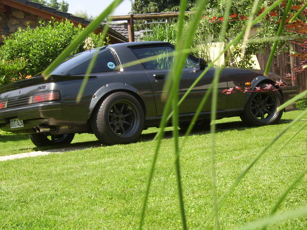 SV100281.JPG