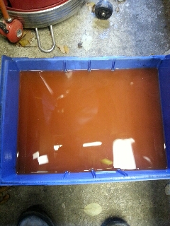 20131117_113205_resize_20131117_162518.jpg